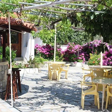 Hotel Angela 3*